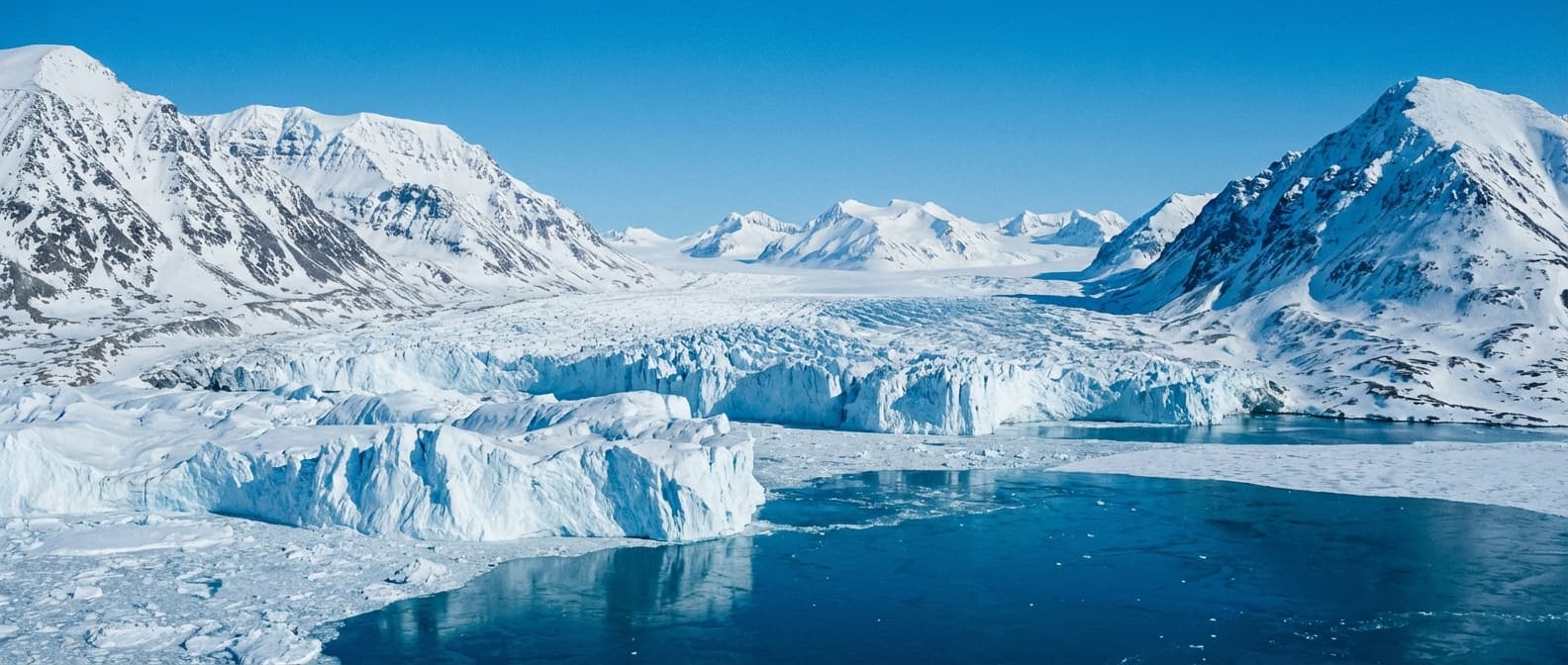 Invite Your Team to ColdGenius